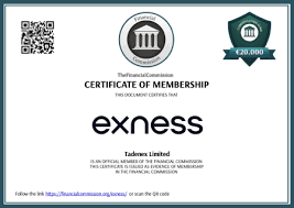 Understanding Exness Cy Ltd A Comprehensive Guide to Forex Trading