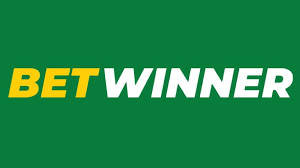 Betwinner Platform Your Ultimate Betting Experience